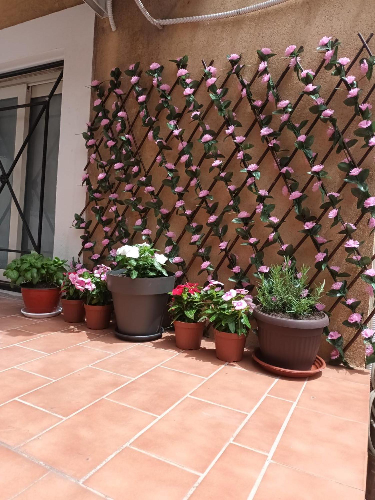 Le Case Del Cortile Катания Экстерьер фото
